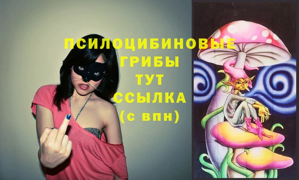 a pvp Алексин