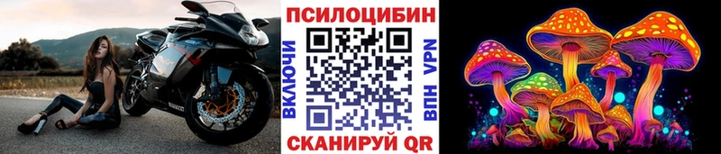Галлюциногенные грибы Psilocybine cubensis  Амурск 