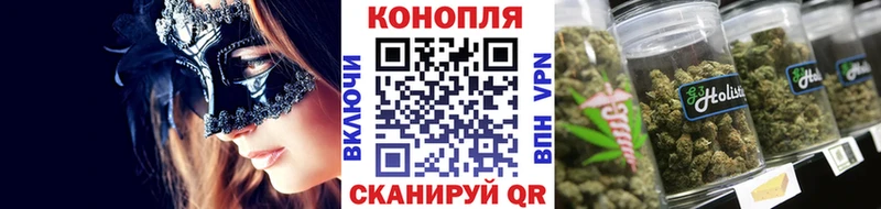 Бошки Шишки MAZAR Амурск